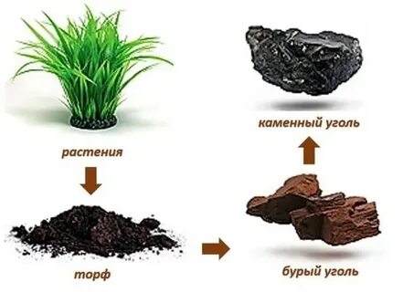 Как образуется каменный