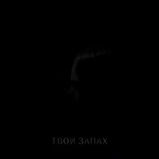Твой запах тест