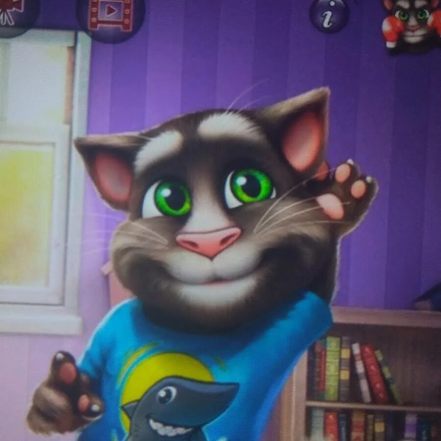 Говорящего тома на компьютер. Talking Tom 2010. Talking Tom Cat 2. Talking Tom Cat.