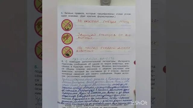 Стр 49 номер 5 3 класс. Окружающий мир 3 1 часть рабочая тетрадь стр 62 4. Окружающий мир 3 класс рабочая тетрадь стр 56 номер 3. Окружающий мир тетрадь страница 3. Акружайиге мир 3 класс рабочая тетрадь 1 часть стр 55.