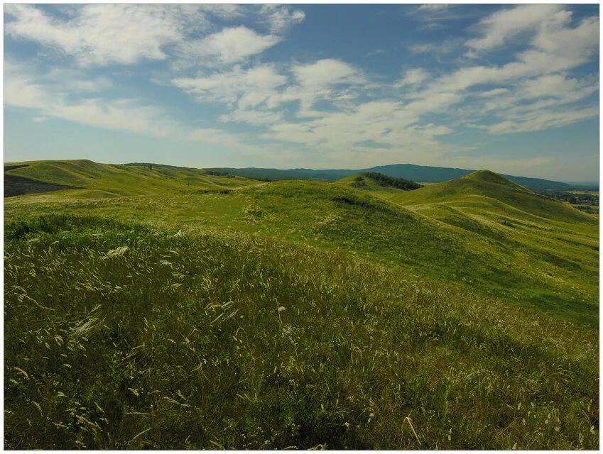 степь широкая авторы. степь широкая авторы. ах ты степь широкая картинки. ах ты степь широкая степь раздольная. славяне - ой, ты степь широкая.