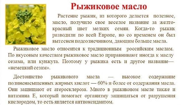 Растение Рыжик рыжиковое масло. Из чего изготавливают рыжиковое масло. Из чего делают рыжиковое масло. Рыжиковое масло из чего. Масло рыжиковое свойства и применение