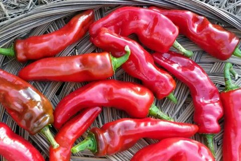 Two peppers
