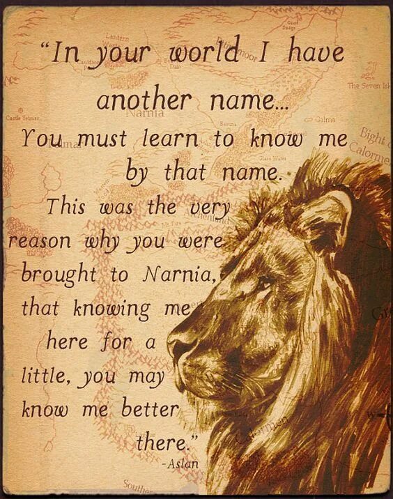 You must learn