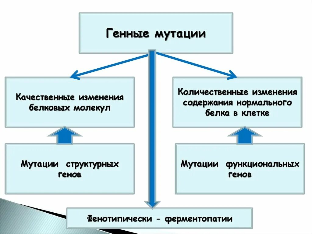 Мутации по генотипу. Мутации функциональных генов. Количественные и качественные мутации. Качественные мутации. Изменения функциональных генов.