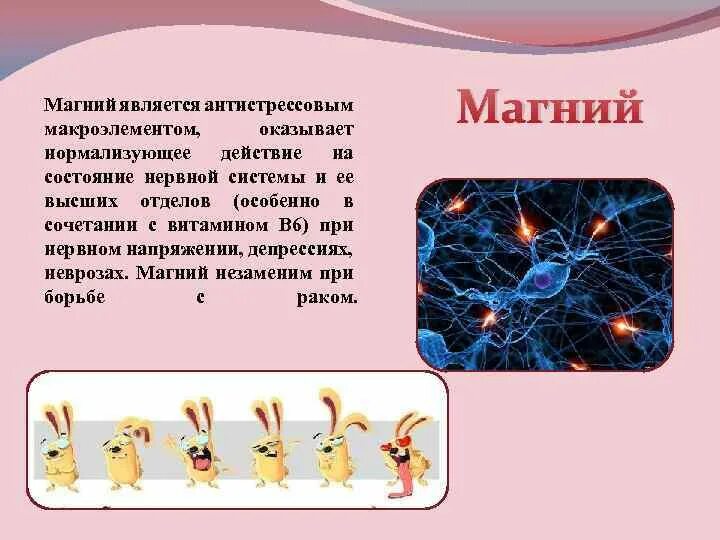 Интересные факты о магнии в организме человека. Магний интересные факты. Магний интересные факты химия. Магний для нервной системы. Нормализующее действие