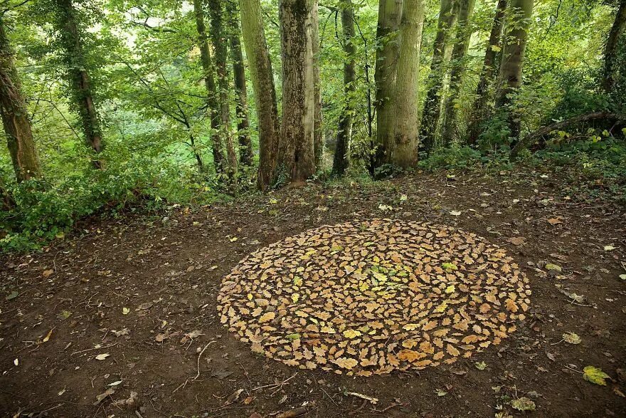 Natural objects. Ленд арт. ленд арт англия. natural object. rainforest mandala.