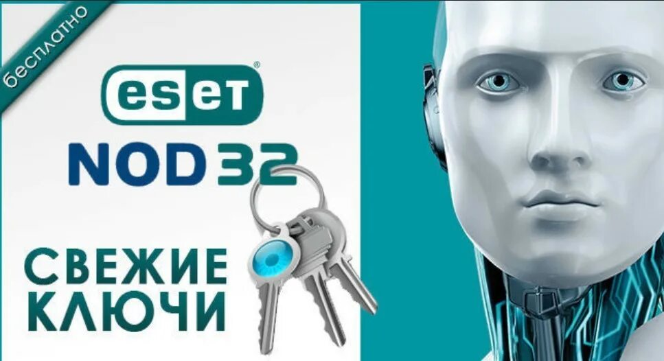 Свежие ключи для eset internet security 2024