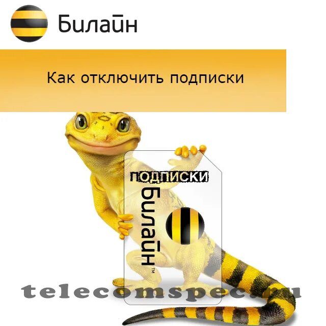 Билайн узнать подписки отключить. Подписки Билайн. Платные подписки Билайн. Отключение подписок Билайн. Как отключить подписку на билайне.