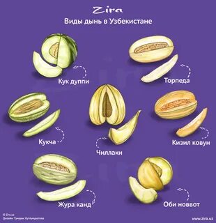 Типы дынь