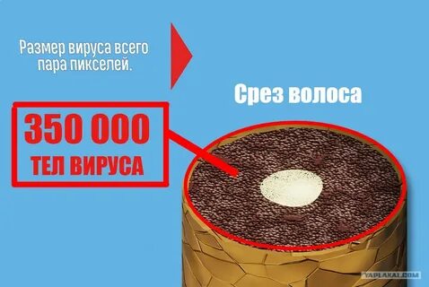 Толщина человеческого волоса в нанометрах