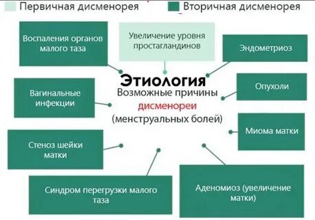 Простагландины при месячных