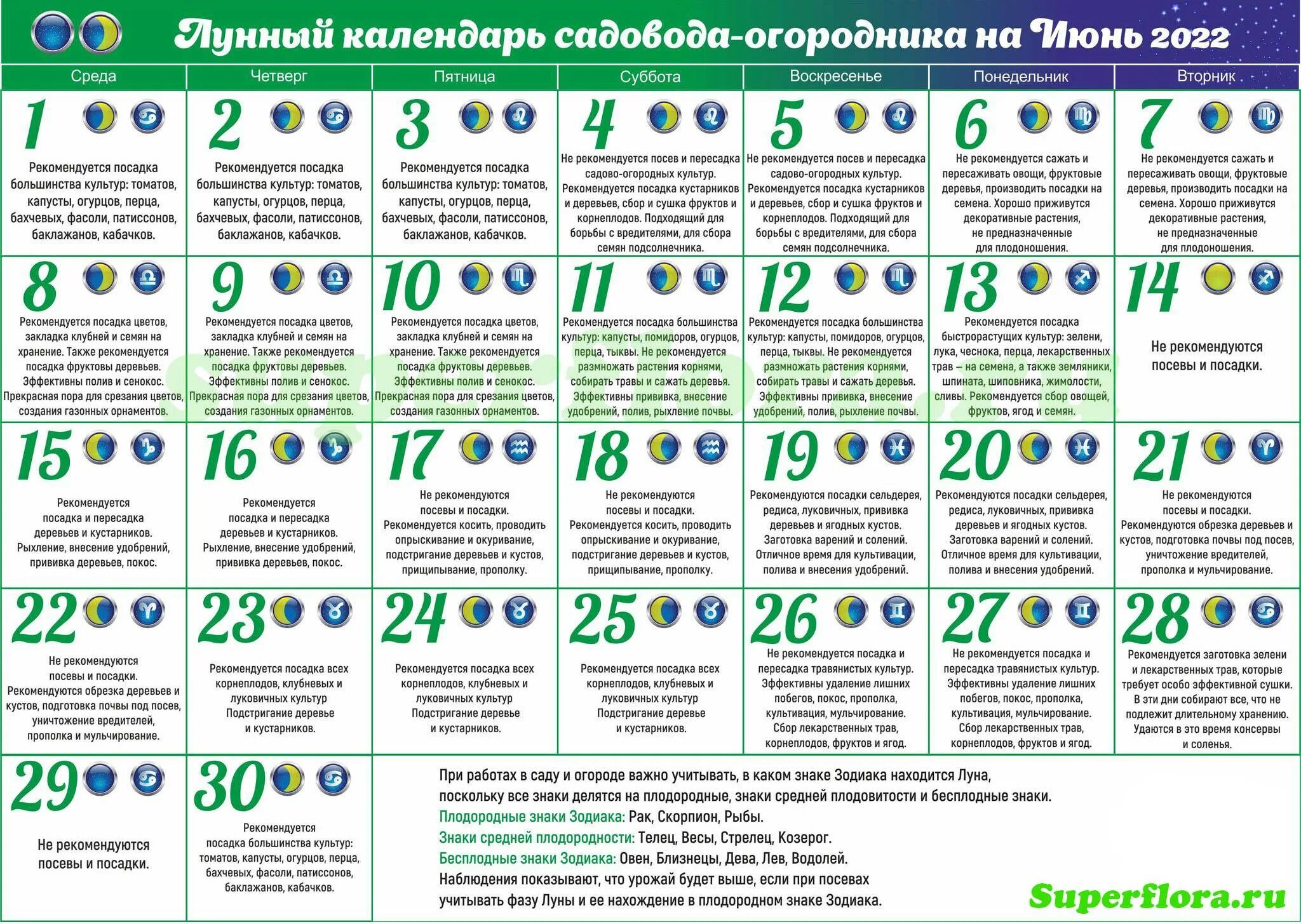 Можно ли садить 7 апреля