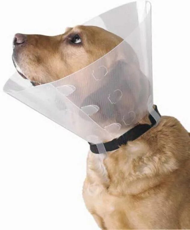 Собакам одевают на шею. Воротник послеоперационный (елизаветинский. Osso ветеринарный елизаветинский воротник р. Медицинский воротник для собак. Елизаветинский воротник для собак.