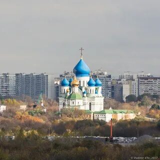 Голд коломна