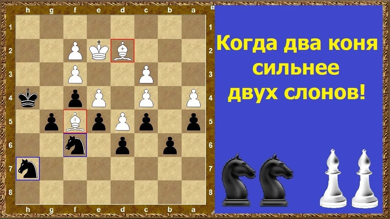 Конь шахматы. Слон в шахматах. Слон против коня в шахматах. Конь сильнее слона шахматы. 2 коня шахматы