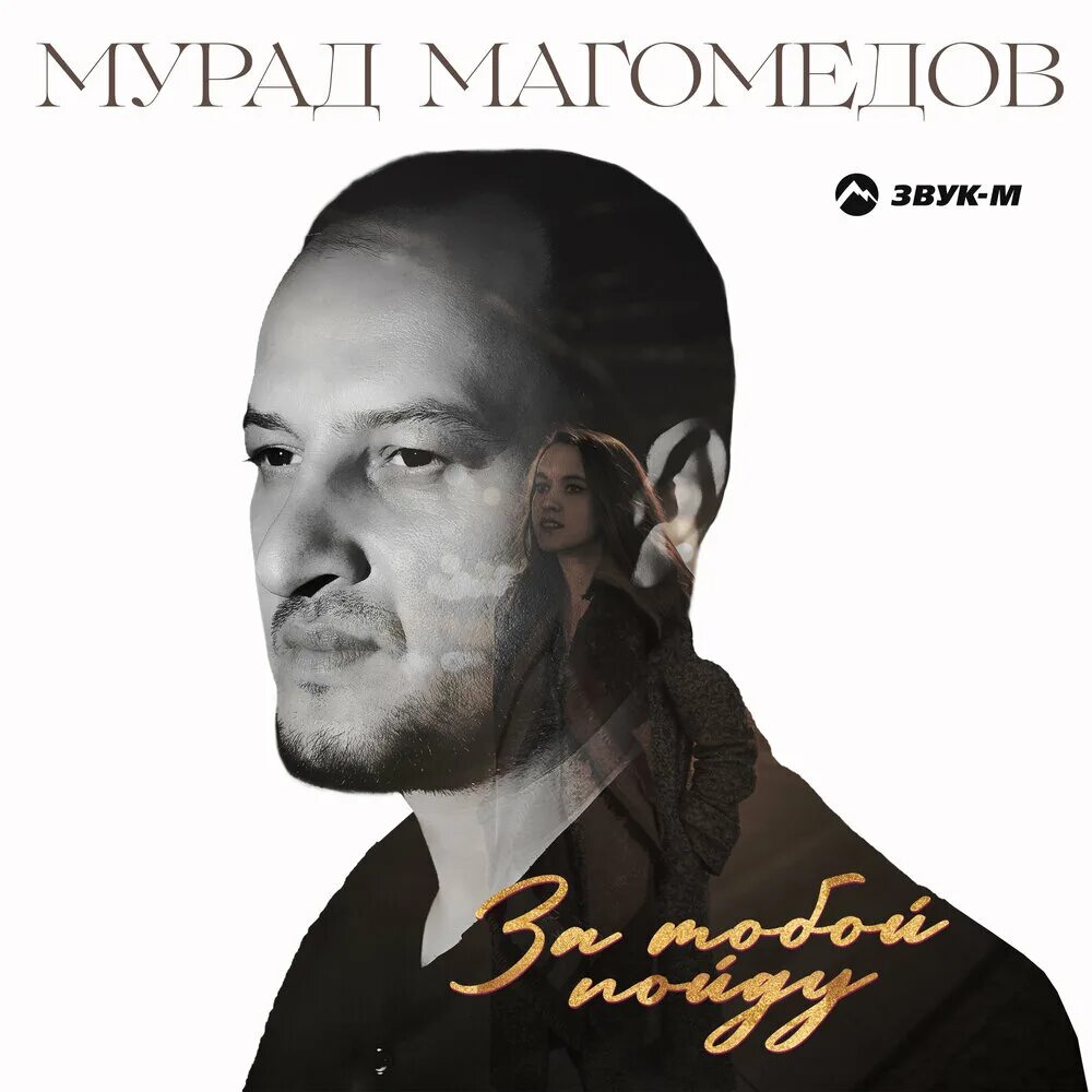 Песня мурада магомедова. Песня мурада. Песня мурада магомедова. Песня мурада магомедова. Мурад магомедов.