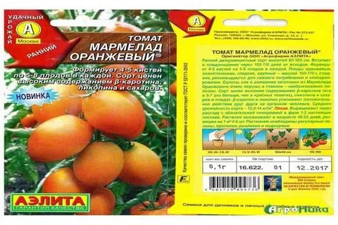 Томат оранжевый слон урожайность