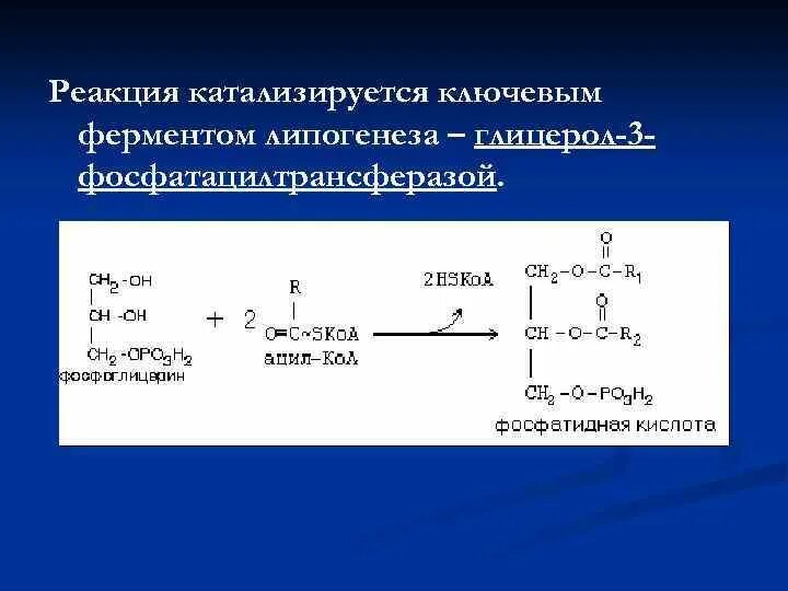 Типы реакций катализируемых ферментами. Реакция катализируемая 1,3 бисфосфоглицератмутазой. Катализируемые реакции ферментов. Реакция катализируемая амилазой. Схема реакции катализируемой амилазой.