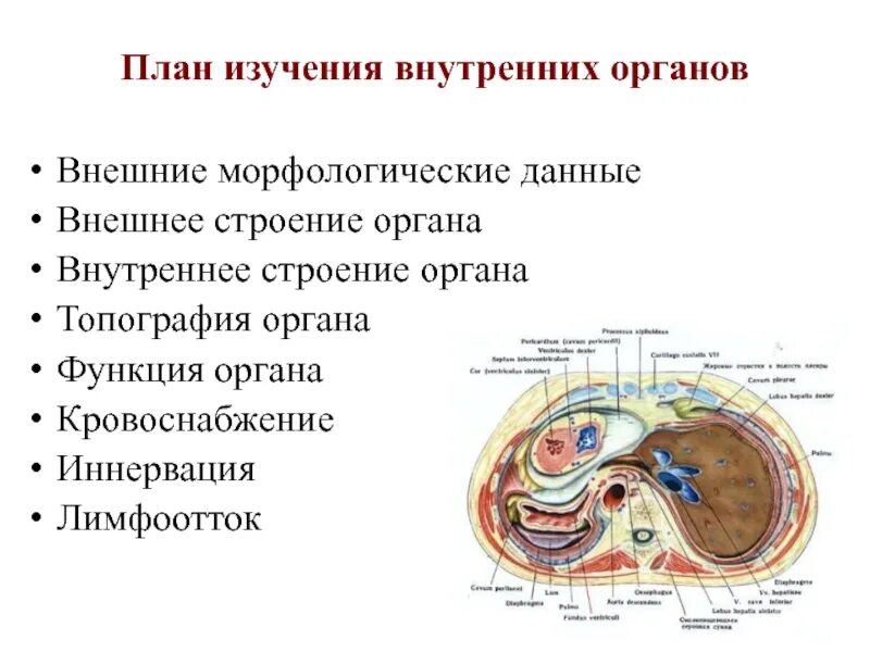НОВГОРОДСКИЙ ГОСУДАРСТВЕННЫЙ УНИВЕРСИТЕТ ИМЕНИ ЯРОСЛАВА МУДРОГО ИНСТИТУТ презент