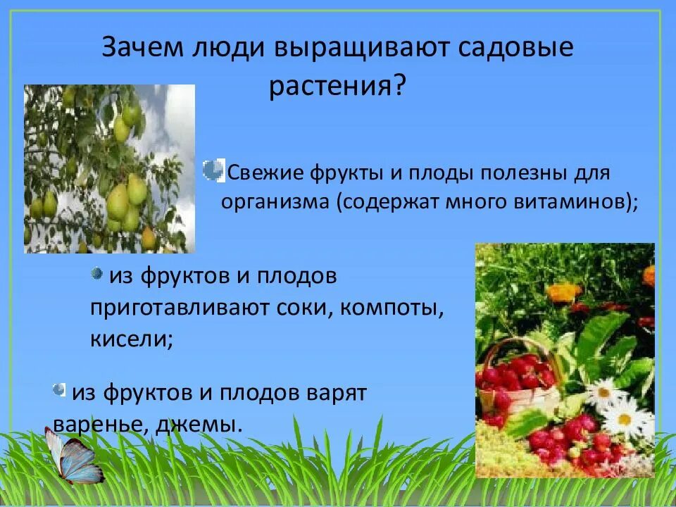 Сады сообщение