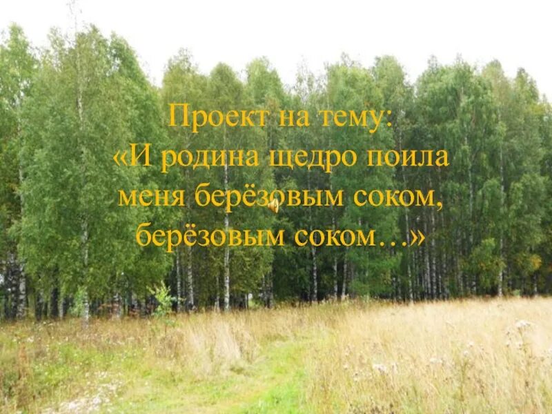 Родина поила березовым соком. И Родина щедро поила меня. И Родина щедро поила меня березовым соком. Картинки и Родина щедро поила меня березовым соком. Поила меня березовым соком.