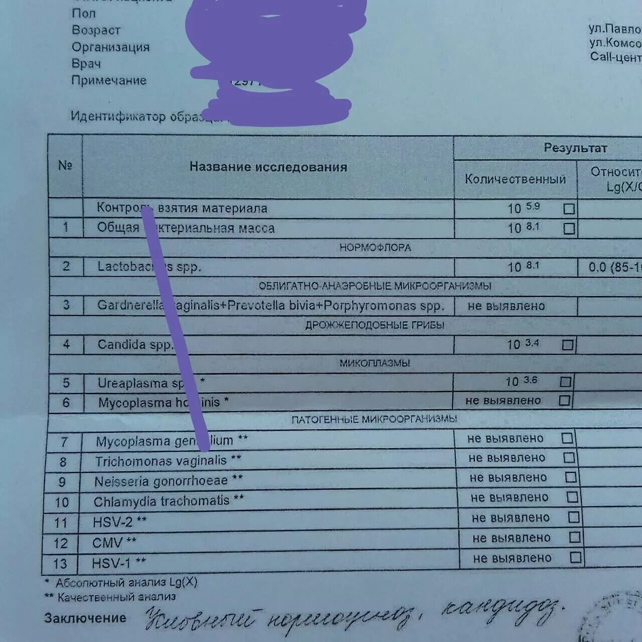 Флороценоз анализ расшифровка норма. Фемофлор. Анализ Фемофлор. Нормальный Фемофлор 16. Фемофлор 16 хороший анализ.