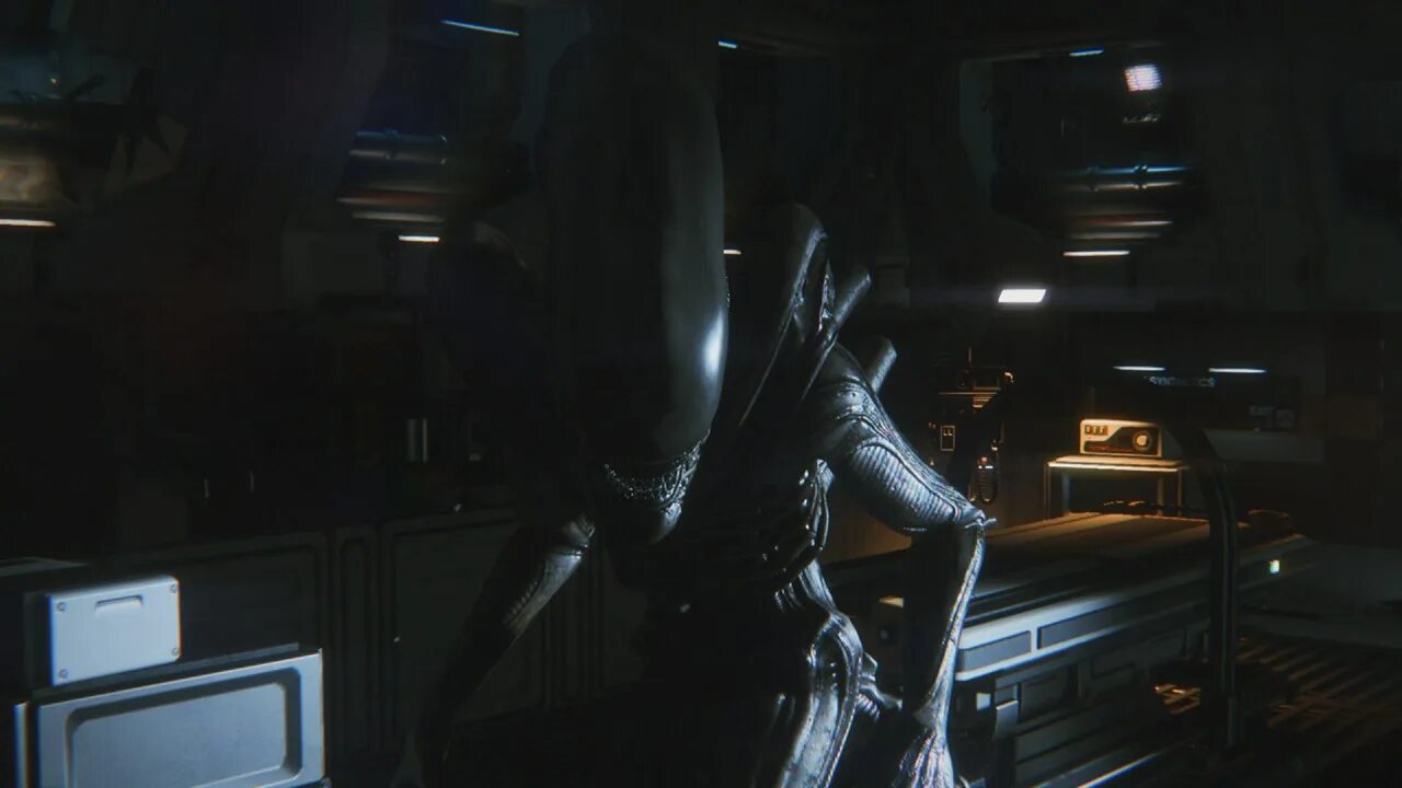 It is a alien. Alien isolation чужой. alien: isolation [xbox one]. alien: isolation - the collection. транзиты в alien isolation.