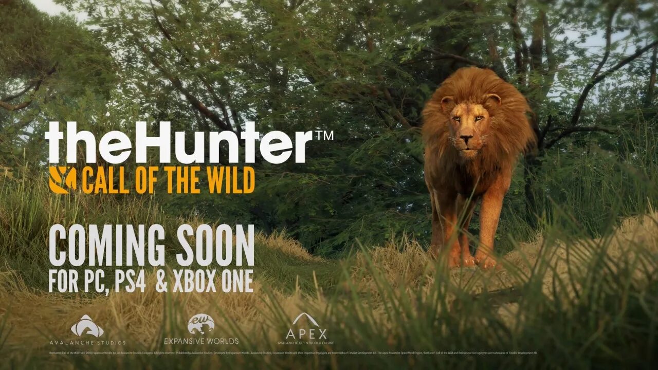 Hunt is coming. Thehunter: call of the wild - vurhonga savanna. саванна вурхонга the hunter call of the wild. король лев на ps4. thehuntercallofthewild.