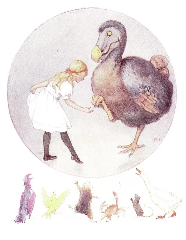 The dodo doesn t anymore