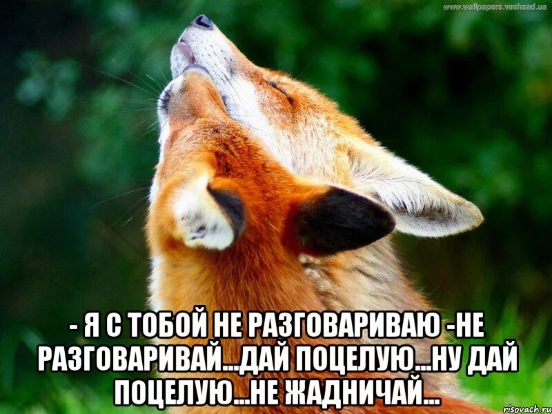 Целую тебя говорят друзья