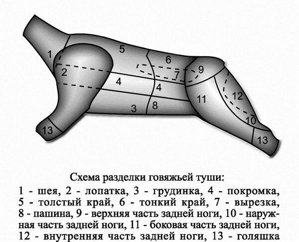 Верхний тонкий край. Заполните схему разделка говяжьей туши. Схема разруба говяжьей туши. Схема разделки полутуши (туши). Кулинарная разделка говяжьей туши схема.