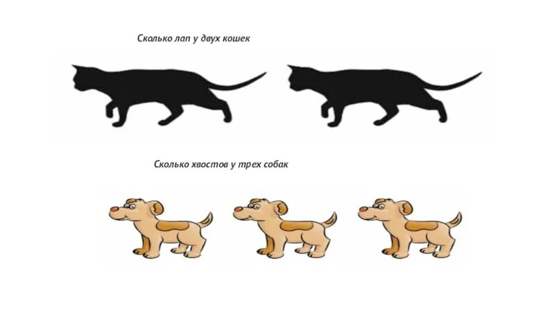 Назвал лапкой. Задачи про лапы. Логические задачи с кошками. Собака задания для детей. Сколько собак на картинке.