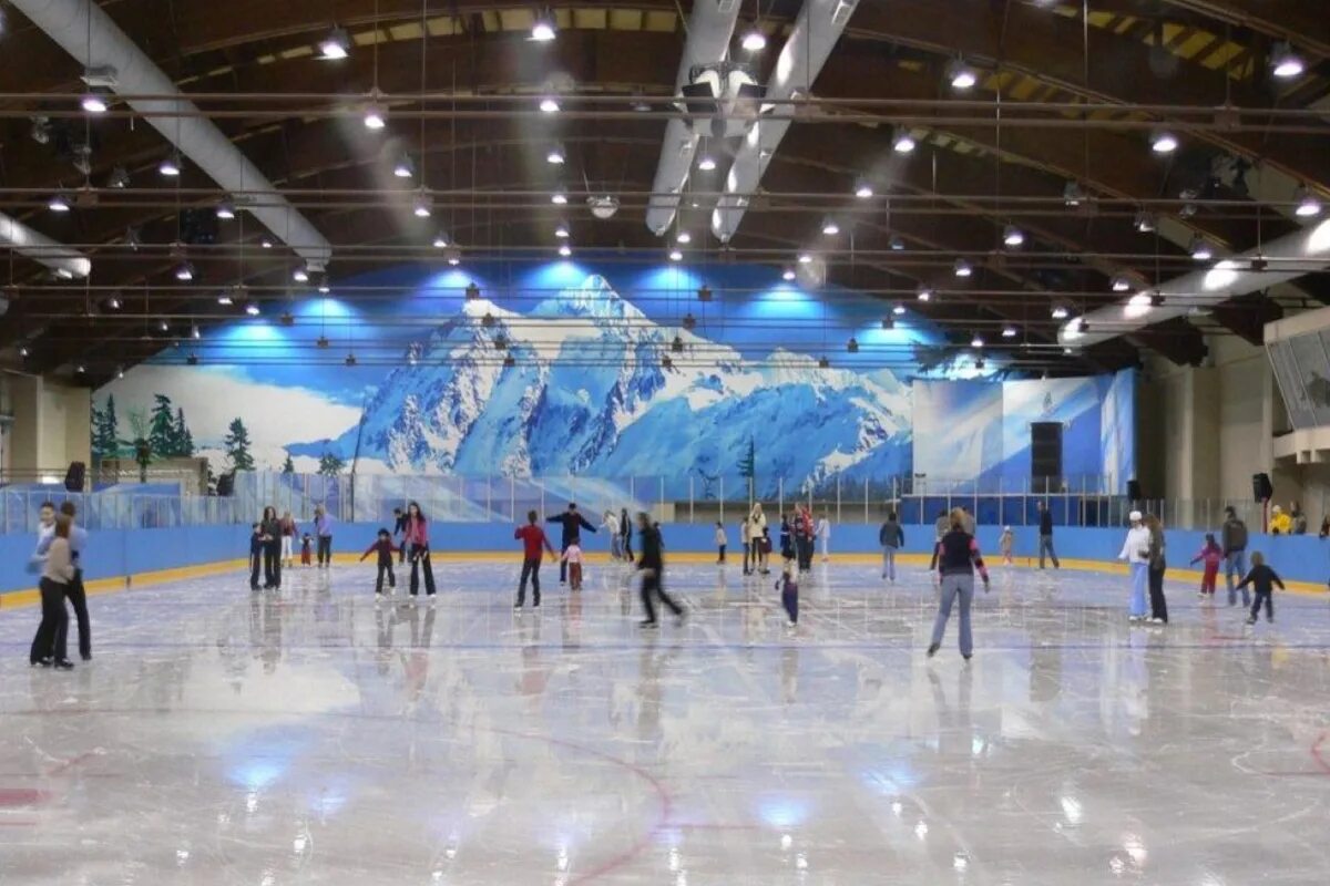 Каток Альпийский лед в Кузьминках. Ледовый дворец Ice Palace. Ice Arena ледовая Арена. Каток Павловский Посад Ледовый дворец.