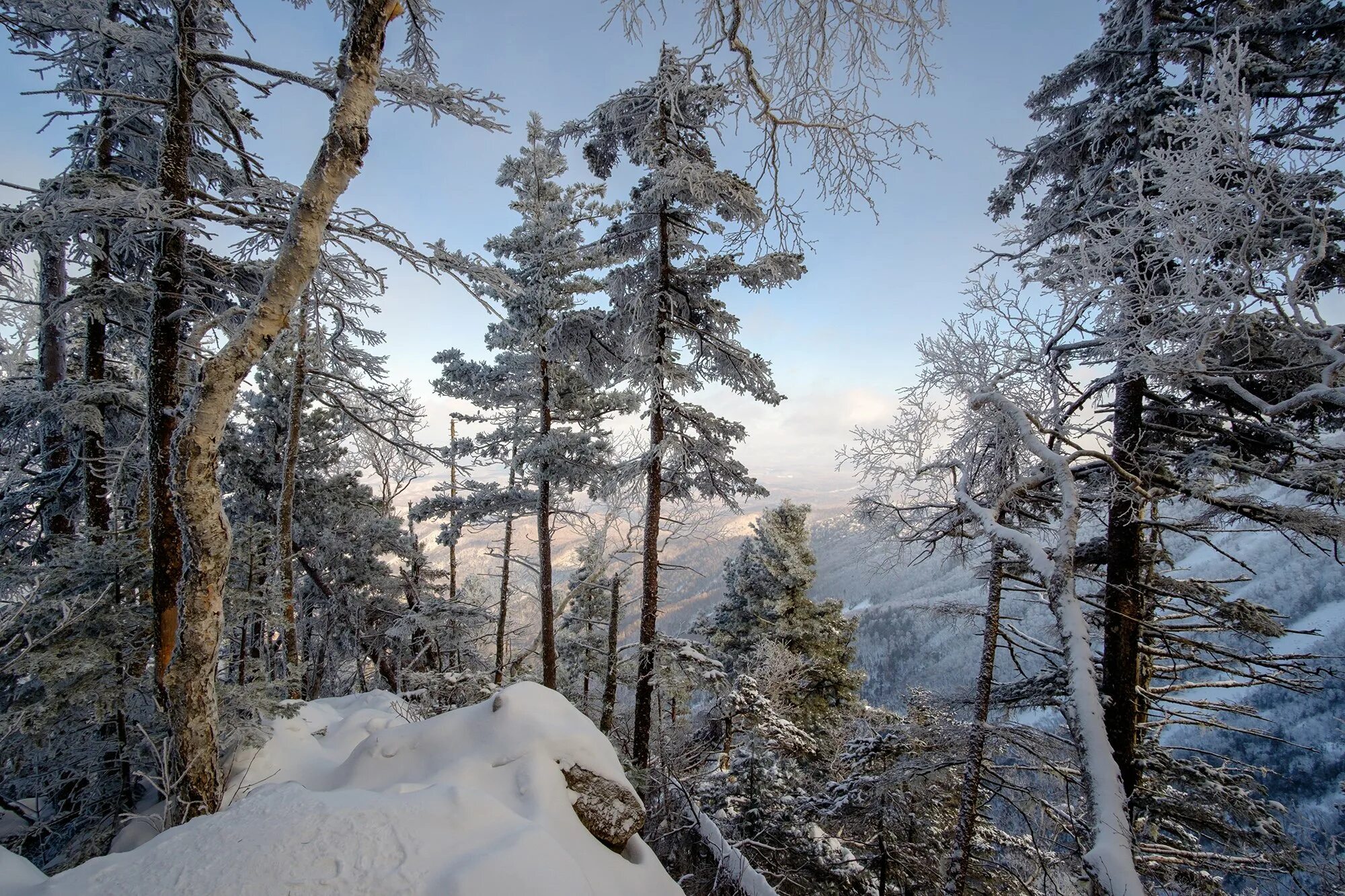 Таежный хабаровский край осень. Уссурийская тайга летом. Река амур хабаровский край осень. Уссурийская тайга климатический пояс. Уссурийская тайга климат.