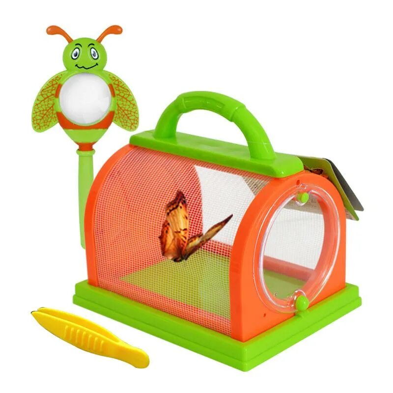 Box bug
