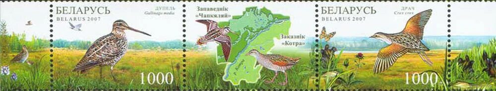 беларусь в 2007 году