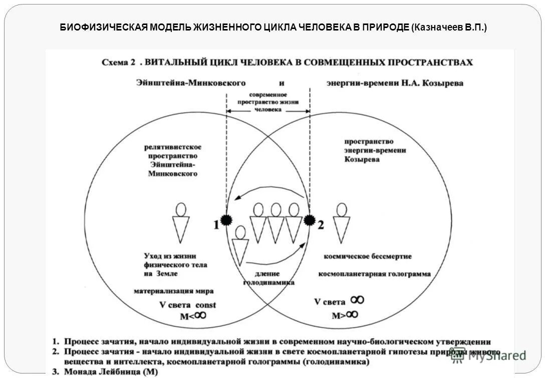 Устойчивая модель поведения. Схемы основных жизненных циклов человека. Этапы жизненного цикла человека. Жизненный цикл личности. Цикличность человека.