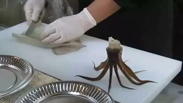Как выглядит рот у кальмара colossal squid Colossal squid, Food, Squid