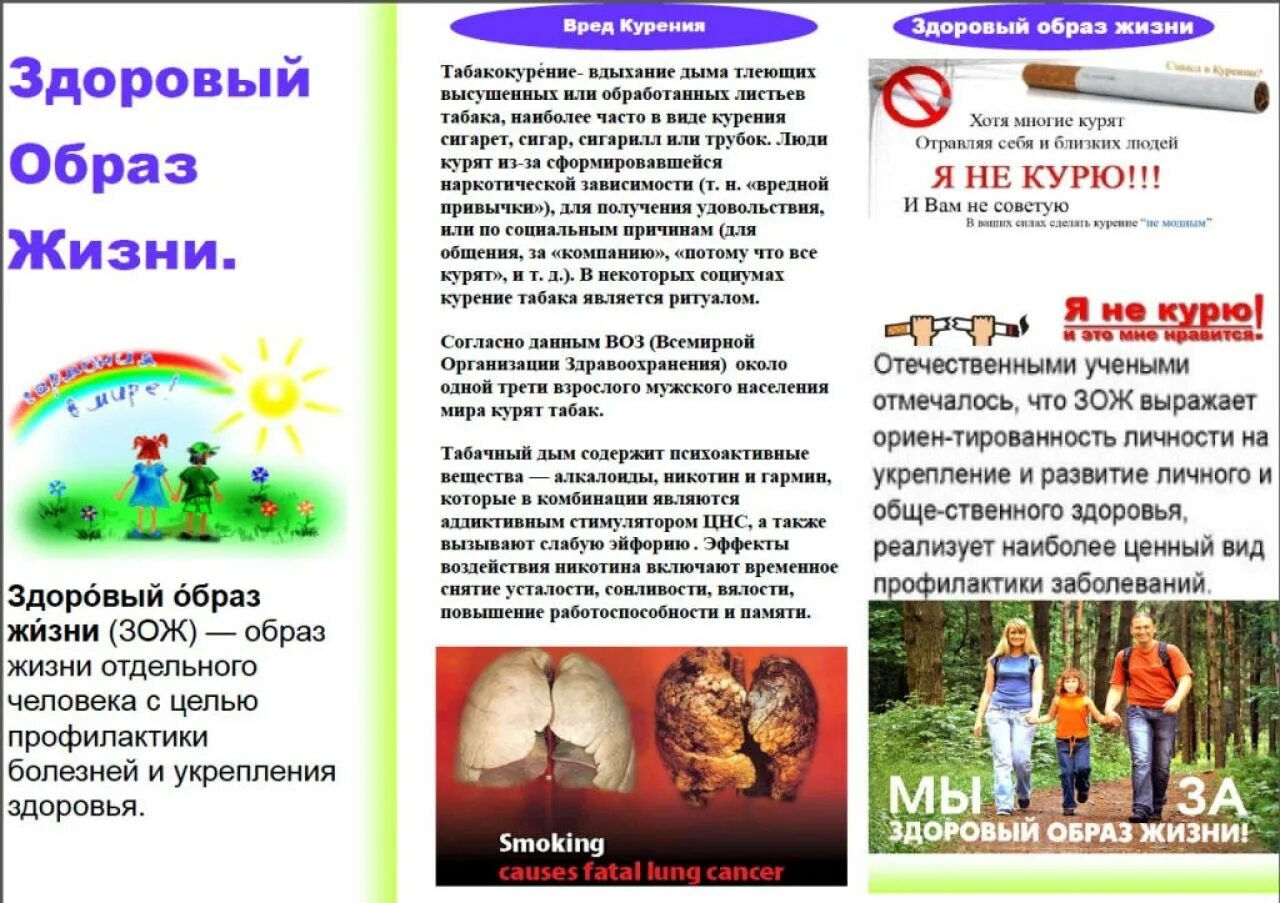 Буклет на тему. Буклет на тему. Букет здоровый образ жизни. Листовки памятки зож. Буклет зож.