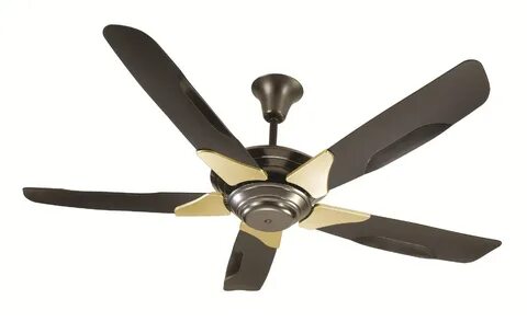 Ceiling fans
