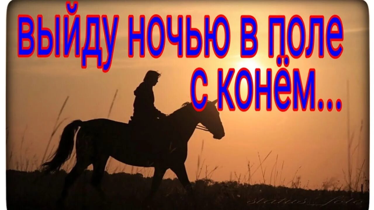 Шаман выйду ночью