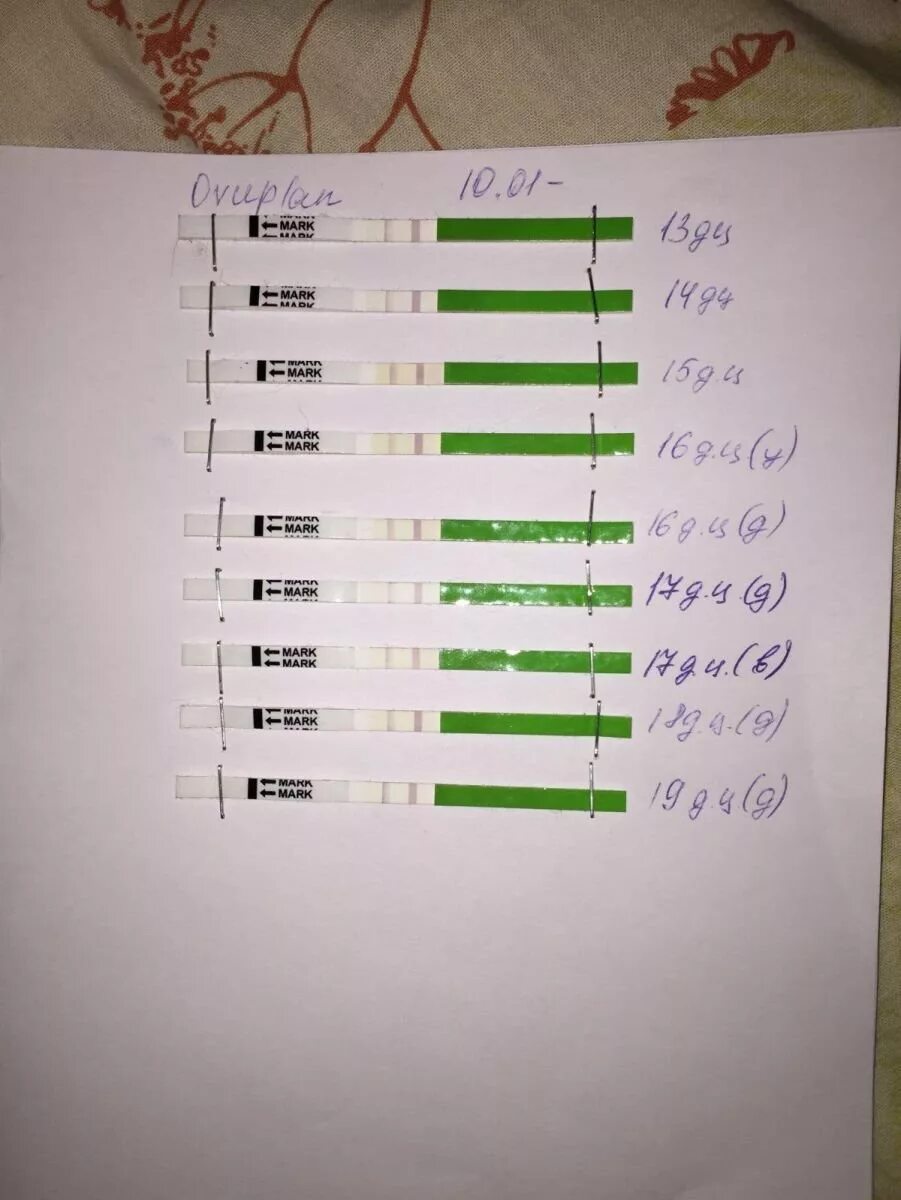 Через сколько после имплантационного кровотечения делать тест. Тесты овуплан динамика на овуляцию. овуплан тест на беременность. тест на овуляцию ovuplan. тесты овуплан динамика.