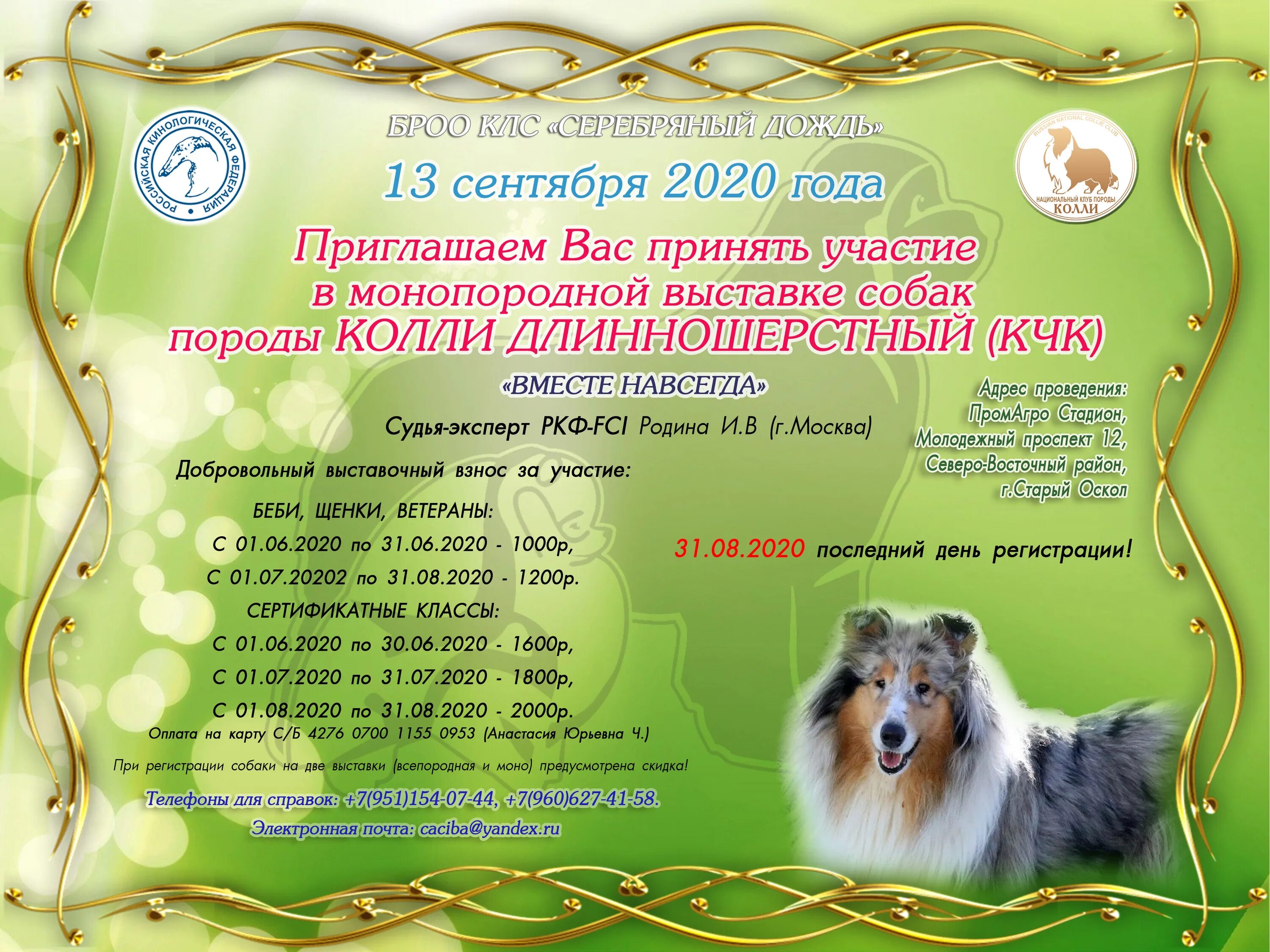 Выставки собак в москве в марте. Классы на выставках собак по возрасту РКФ. Титулы на монопородных выставках собак. КЧК на выставке собак что это. Клуб любителей собак.