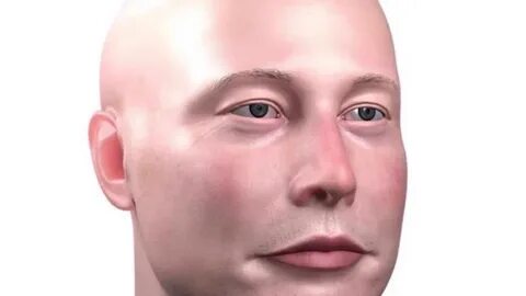Bald meme