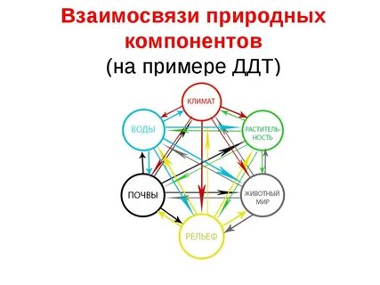Природно территориальный комплекс примеры