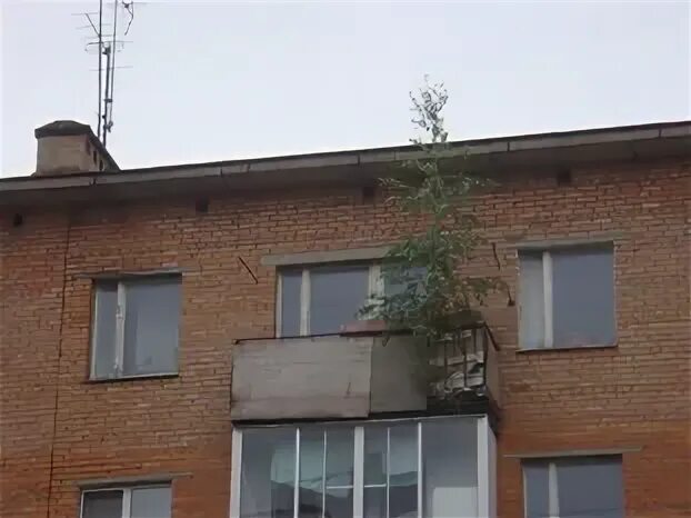 Радиостанция в пушкино. Радиостанция в пушкино