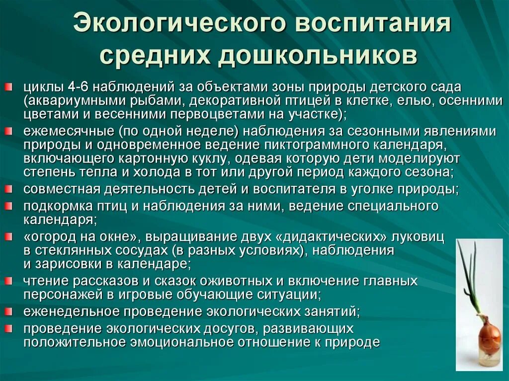 Экологическое воспитание детей дошкольного возраста технологии. Технология экологического воспитания детей. Технология экологического образования дошкольников. Метод экологического воспитания дошкольников. Экологическое воспитание результат