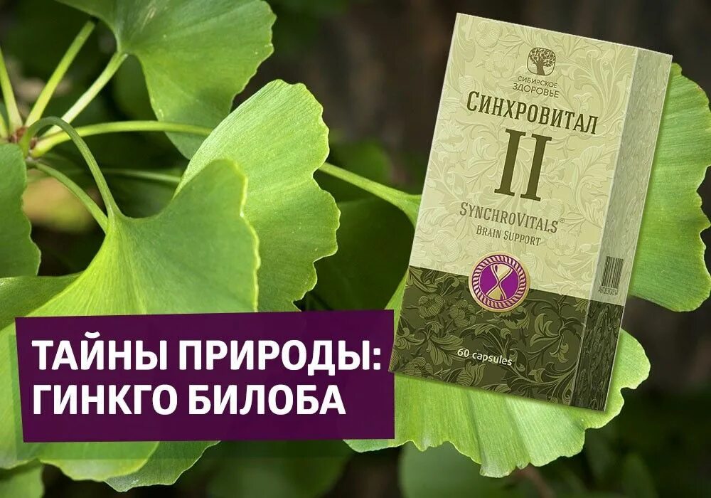 Синхровитал II Siberian Wellness. Синхровитал 6. Синхровитал 4 Сибирское здоровье. Синхровитал 2 Сибирское здоровье картинки. Синхровитал 6 сибирское