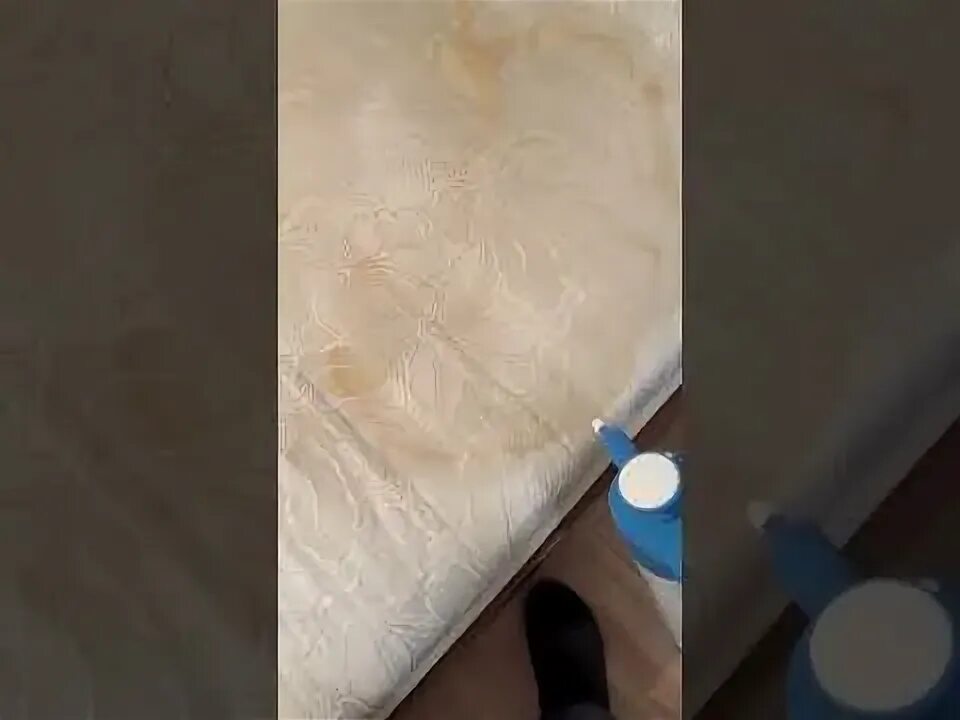 Как вывести пятно мочи с матраса